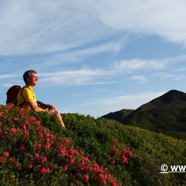 Wandern im Tal der Almen | Ferienwohnung Langwallner für Ihren Urlaub in Großarl | Sommer und Winter