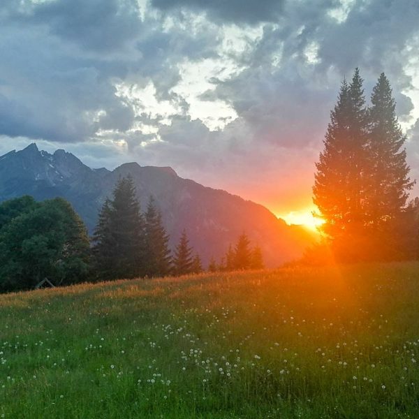 Bildergalerien | Ferienwohnung Langwallner für Ihren Urlaub in Großarl | Sommer und Winter