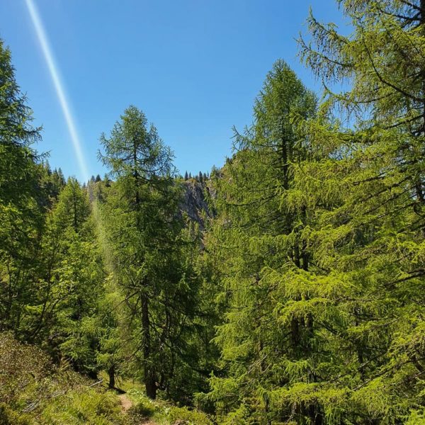 Bildergalerien | Ferienwohnung Langwallner für Ihren Urlaub in Großarl | Sommer und Winter