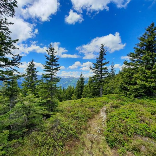 Bildergalerien | Ferienwohnung Langwallner für Ihren Urlaub in Großarl | Sommer und Winter