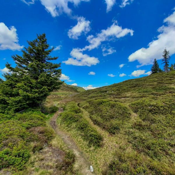 Bildergalerien | Ferienwohnung Langwallner für Ihren Urlaub in Großarl | Sommer und Winter