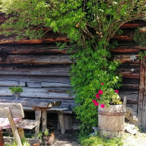 Bildergalerien | Ferienwohnung Langwallner für Ihren Urlaub in Großarl | Sommer und Winter