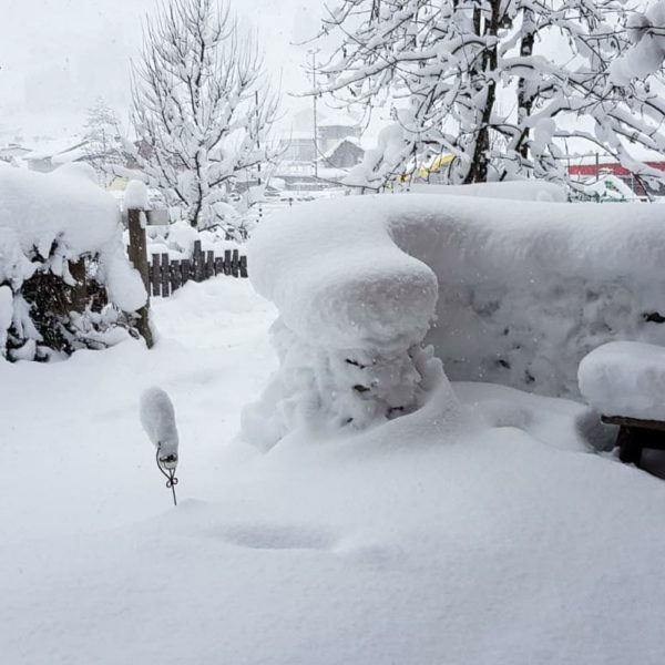 Bildergalerien | Ferienwohnung Langwallner für Ihren Urlaub in Großarl | Sommer und Winter