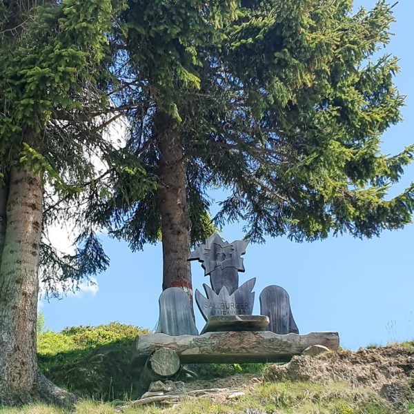 Bildergalerien | Ferienwohnung Langwallner für Ihren Urlaub in Großarl | Sommer und Winter