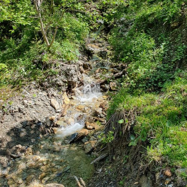 Bildergalerien | Ferienwohnung Langwallner für Ihren Urlaub in Großarl | Sommer und Winter