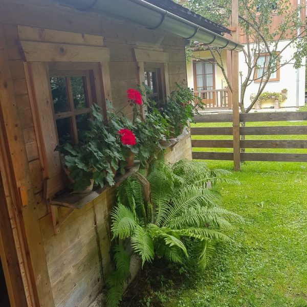 Bildergalerien | Ferienwohnung Langwallner für Ihren Urlaub in Großarl | Sommer und Winter