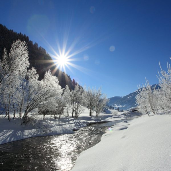 Verschneite Winterlandschaft | Ferienwohnung Langwallner für Ihren Urlaub in Großarl | Sommer und Winter