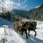 Winteraktivitäten | Ferienwohnung Langwallner für Ihren Urlaub in Großarl | Sommer und Winter